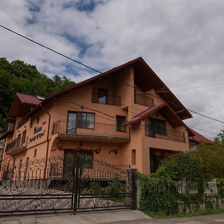 Dupa Apa La Razvan Sighetu Marmatiei Exterior photo